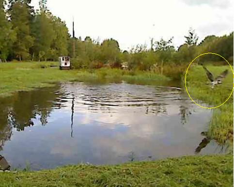 2010-09-16_073846.jpg