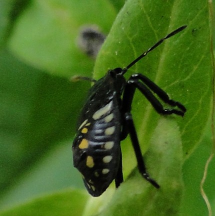 2010-09-17_210140.jpg