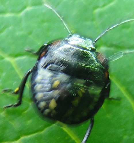 2010-09-17_210223.jpg