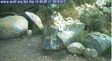 2010-09-18_150235.jpg