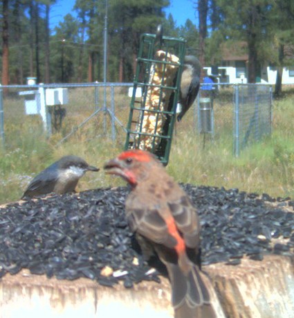 2010-09-18_151135.jpg