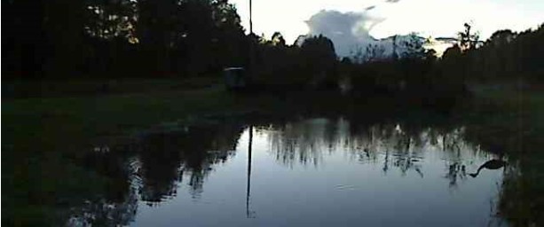2010-09-20_190640.jpg