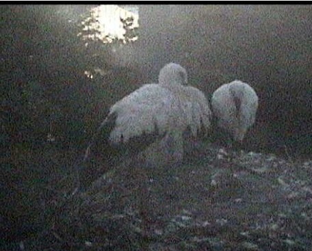 2010-09-20_200750.jpg