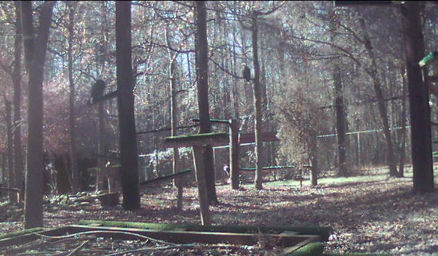 2010-11-27_174051.jpg