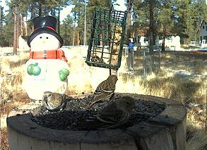 2010-12-08_191932.jpg