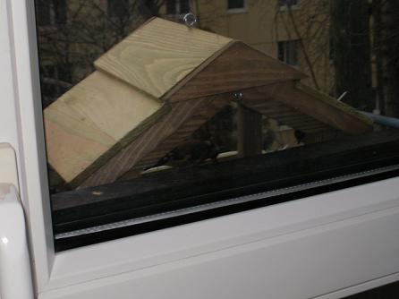 PC100003.JPG
