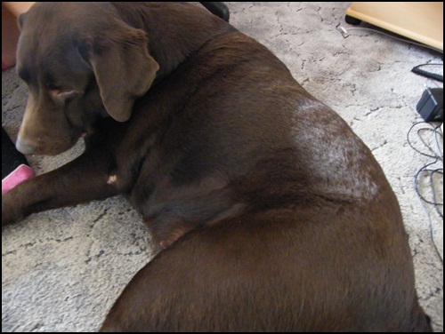 DSCF0457.JPG