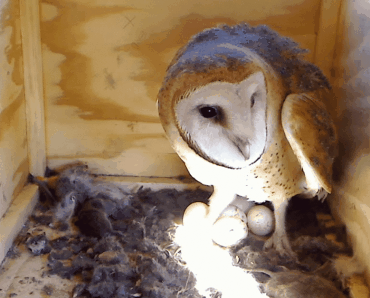 2011-01-21_190858.gif
