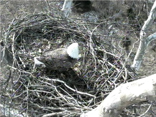 2011-01-22_184702.jpg