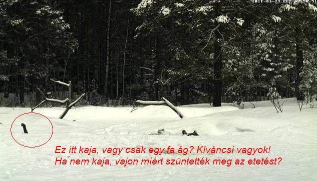 2011-01-23_075129.jpg