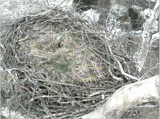 2011-02-07_190151.jpg