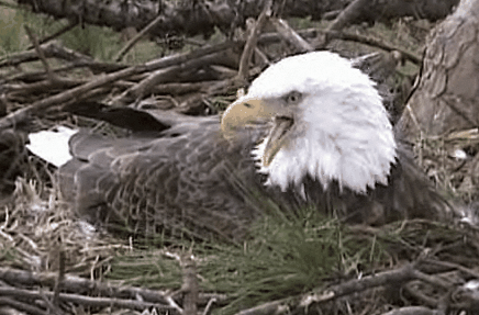 2011-02-09_195814.gif