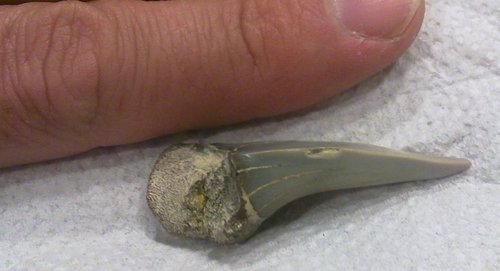 20100414160r.jpg