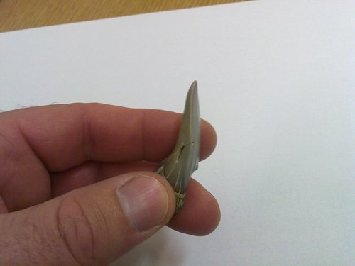 20110316073.jpg