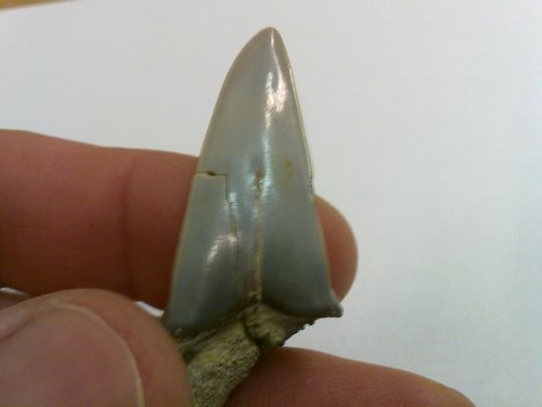 20110316074.jpg