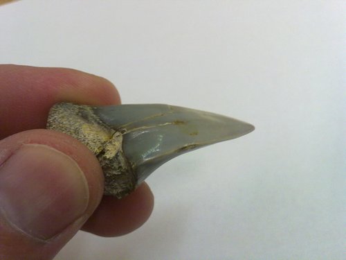 20110316077.jpg
