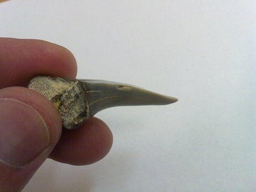 20110316078.jpg