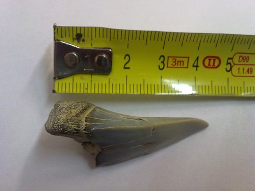 20110316079.jpg