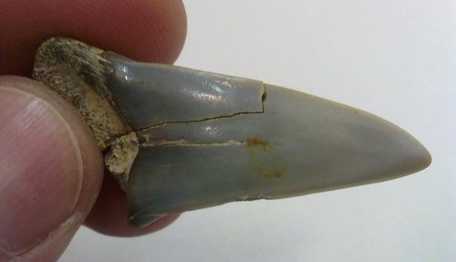 20110316080.jpg