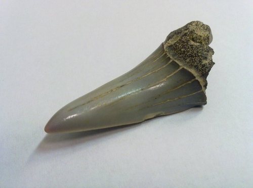 20110316083.jpg