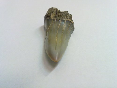20110316084.jpg