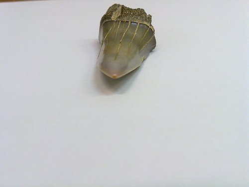 20110316085.jpg