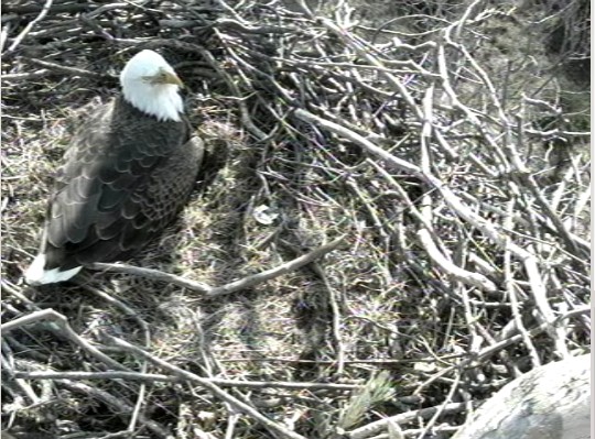 2011-03-18_210640.jpg