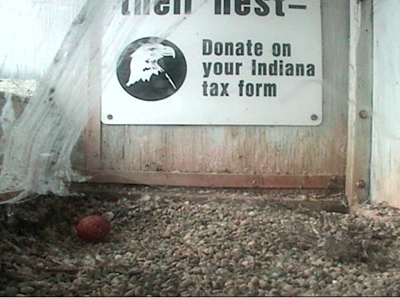 2011-03-20_151848.jpg