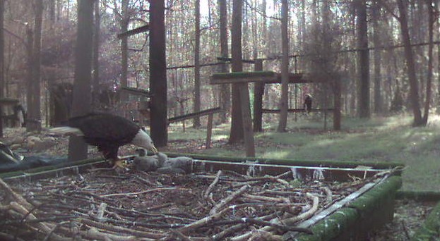 2011-03-24_223018.jpg