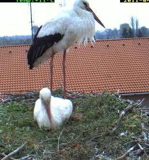 2011-04-03_080529.jpg