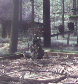 2011-04-11_174843.jpg