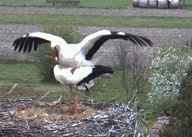 2011-04-16_072804.jpg
