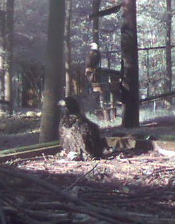 2011-04-17_145830.jpg