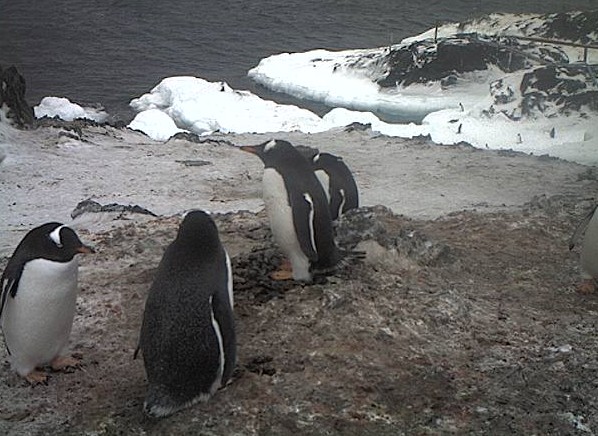 2011-04-22_212226.jpg