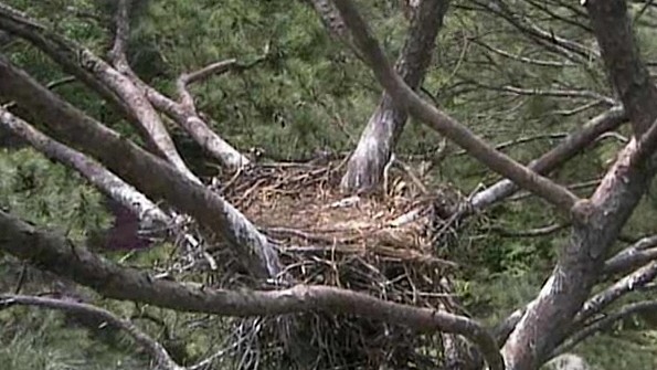 2011-04-27_192147.jpg