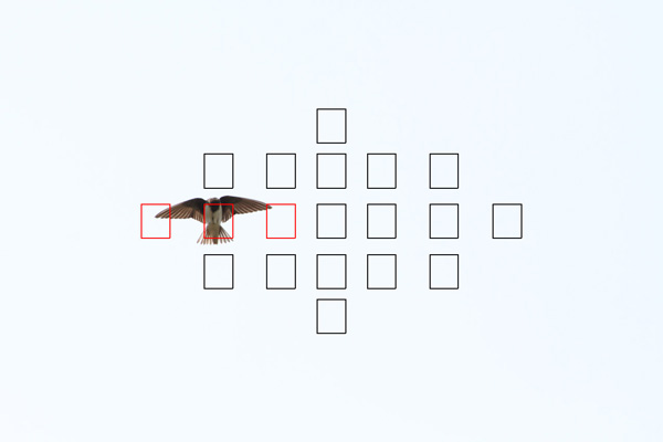 f3ssvvvss_002s.jpg