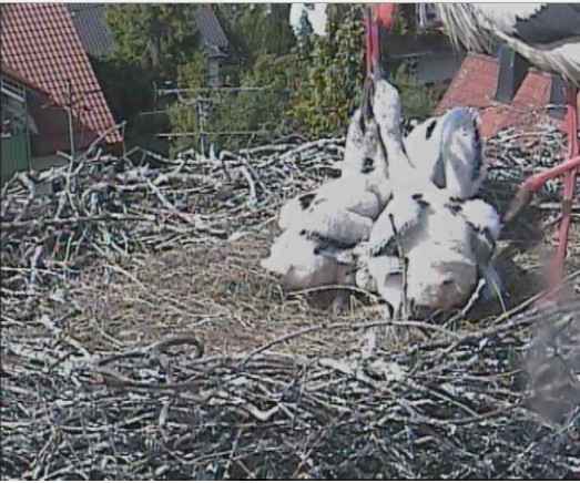 markt schwaben2.jpg