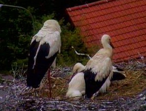 2011-06-09_193114.jpg