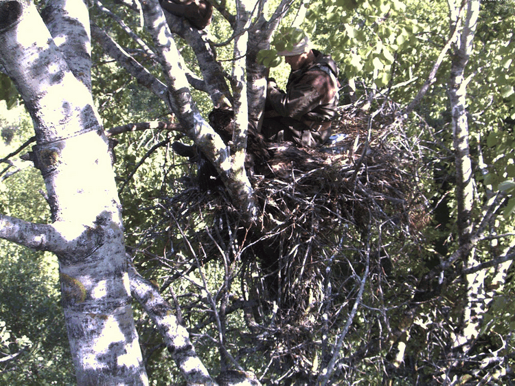 2009-06-01_170023.gif