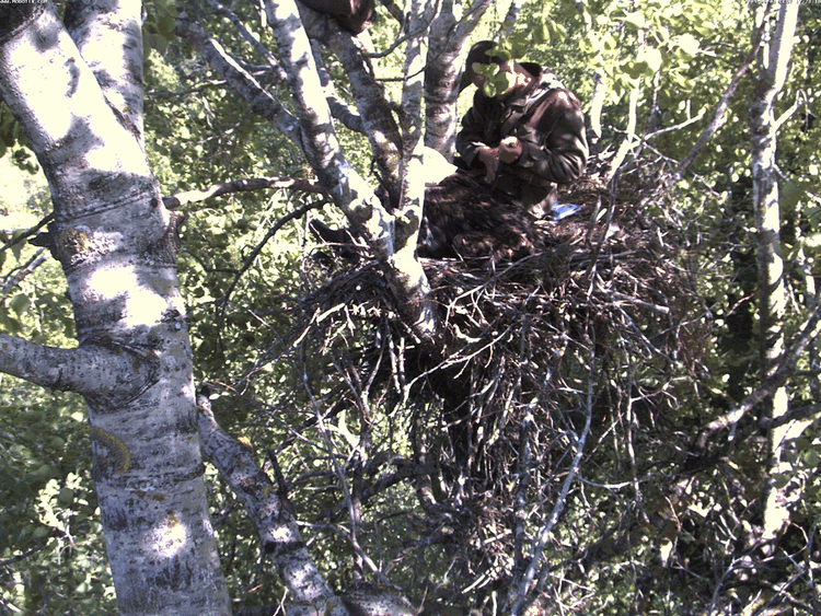 2009-06-01_170458.gif
