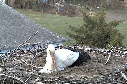 2012-04-04_133120.jpg