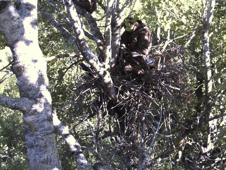 2009-06-01_170556.gif
