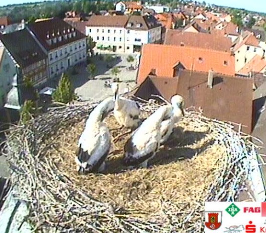 höchstadt1.jpg