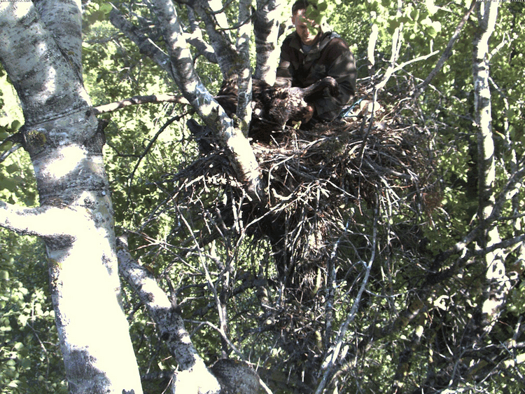 2009-06-01_170656.gif
