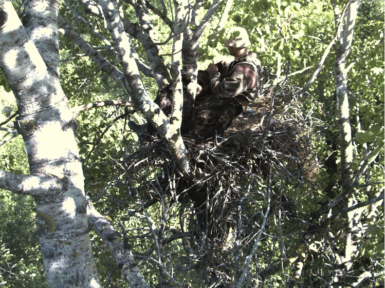 2009-06-01_170756.gif