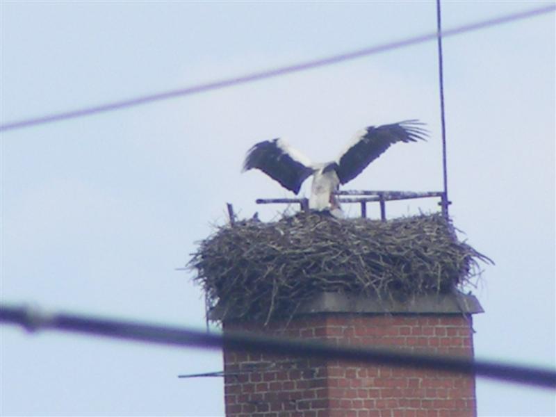 DSCF5554 (Medium).JPG