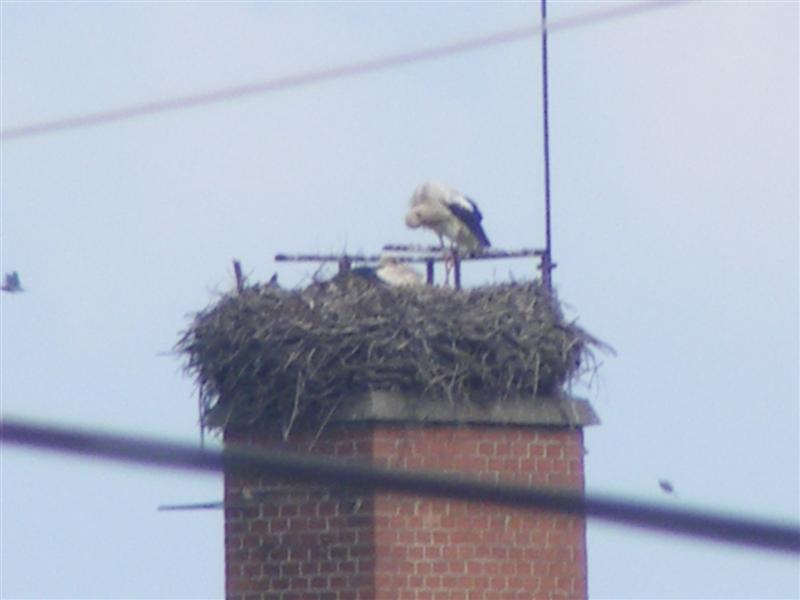 DSCF5559 (Medium).JPG