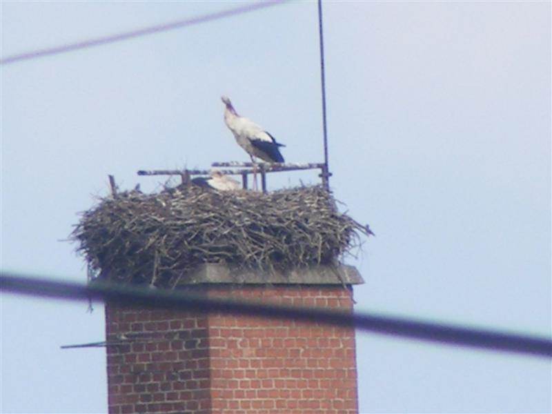 DSCF5560 (Medium).JPG