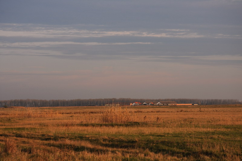 DSC_3075.jpg