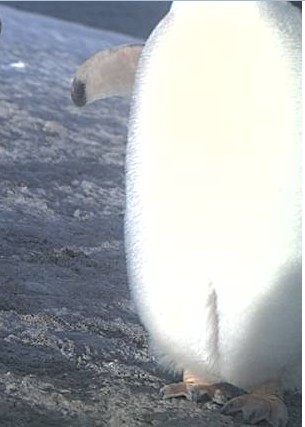 2012-11-26_094210.jpg
